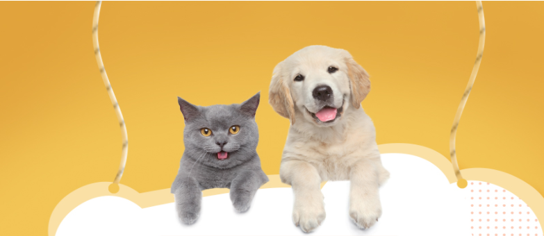 微信片 _20210326154812