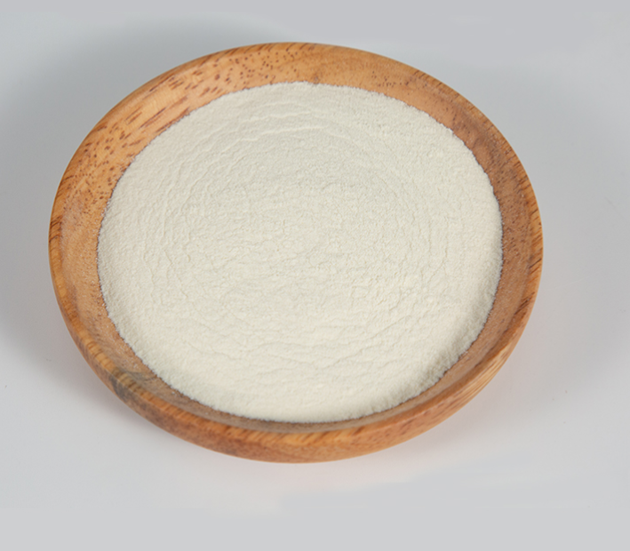 ¿Cómo tomar suplementos probióticos?